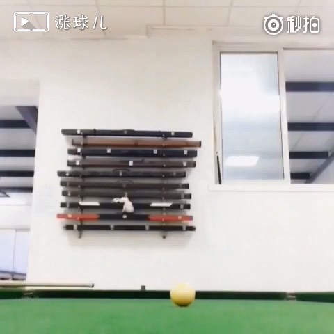 逗逗逗