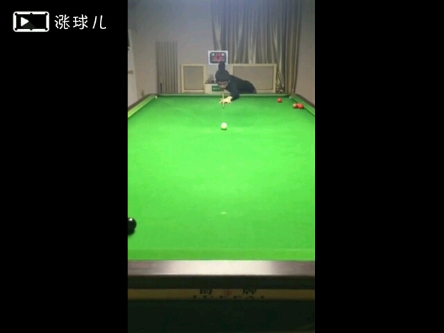 帮忙看看