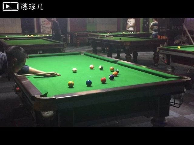 21颗S型蛇彩